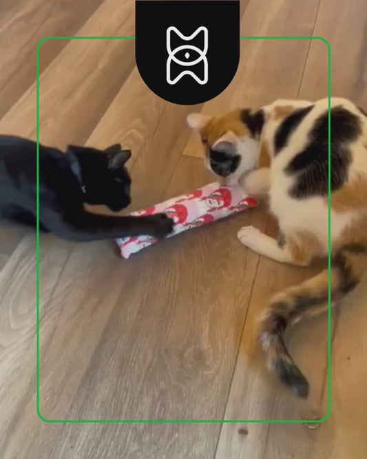 CATKICK